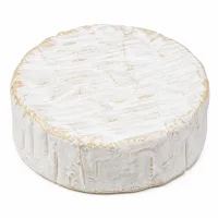 petits camembert