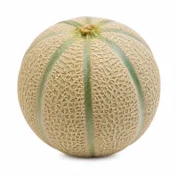 petits melons cantaloup