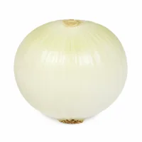 petits oignons blancs
