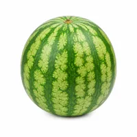 petite pastèque sans pépins
