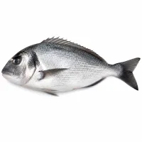 poisson frais
