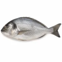 poisson de mer