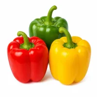 poivrons (1 rouge, 1 vert et 1 jaune)