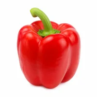 poivron