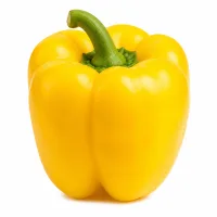 poivron jaune