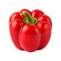 poivron rouge en petits dés