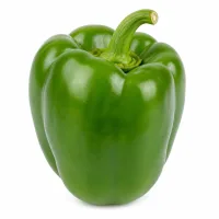 poivron vert