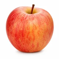 pommes type Gala