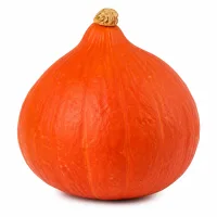 potimarron
