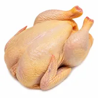 poulet de Patou