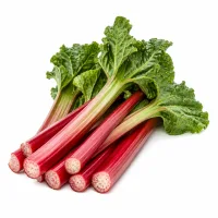 rhubarbe