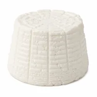 ricotta