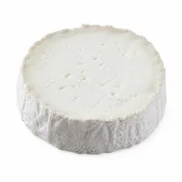 rondelles de bûche de chèvre