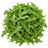 roquette