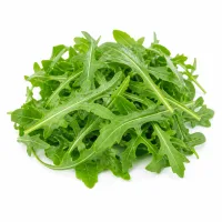 roquette lavée et séchée