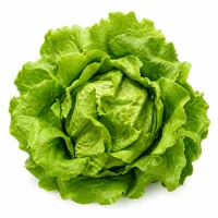 salade