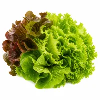 salade composée