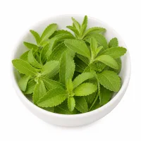 stevia