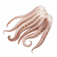 tentacules de calmar