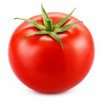 tomates