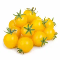 tomates cerises jaunes