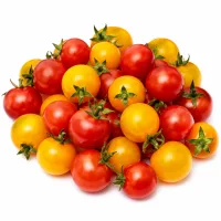 tomates cerises rouges et jaunes