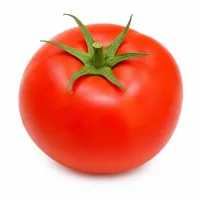 tomates rondes
