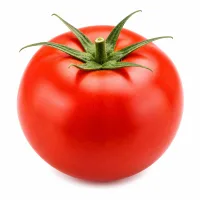 tomates rouges mûres