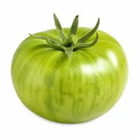 tomates vertes