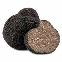 truffes noires