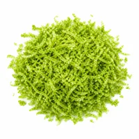 zeste de citron vert